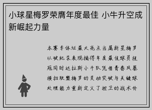 小球星梅罗荣膺年度最佳 小牛升空成新崛起力量